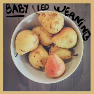Baby Led Weaning - Blog Made in Tribe