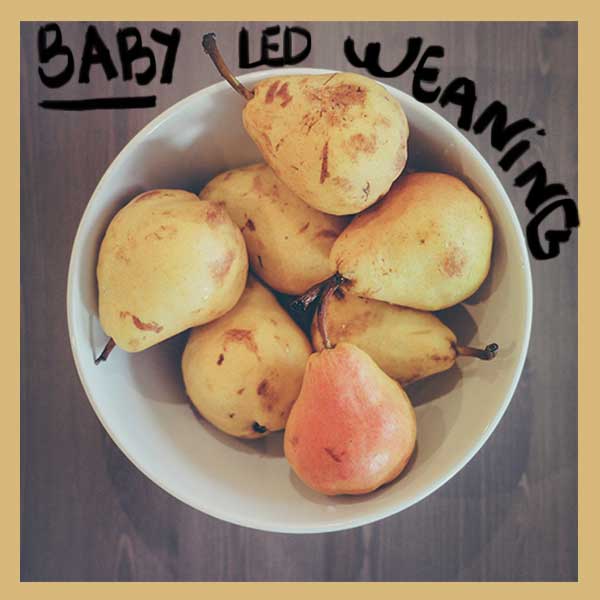 Libro Baby Led Weaning traducido al español.